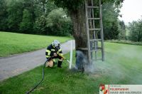 _2024-06-08 Brand Baum Letten-0007